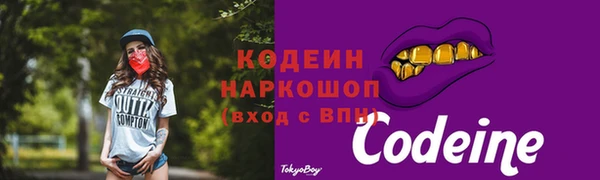 индика Наволоки